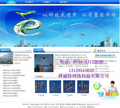 專業定制深圳OA與ERP系統及多樣化網站開發服務