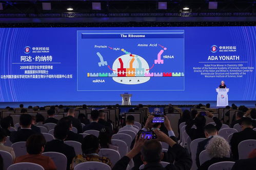 北京市 向全球科技創新重要樞紐邁進